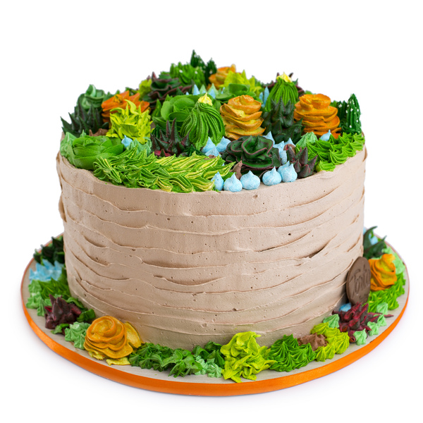 Torta sa kaktusima